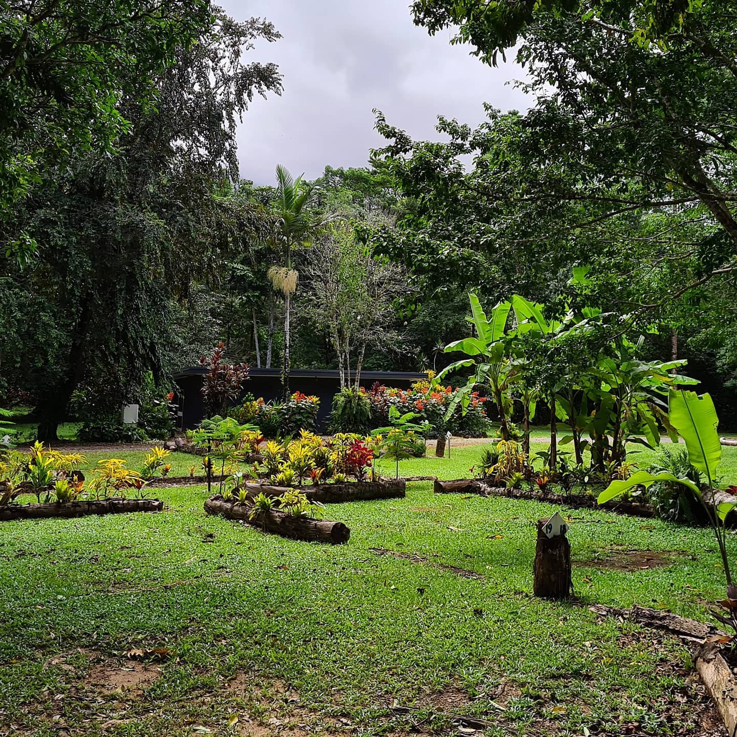 Deep in the Daintree, this couple joins tree changers switching to off