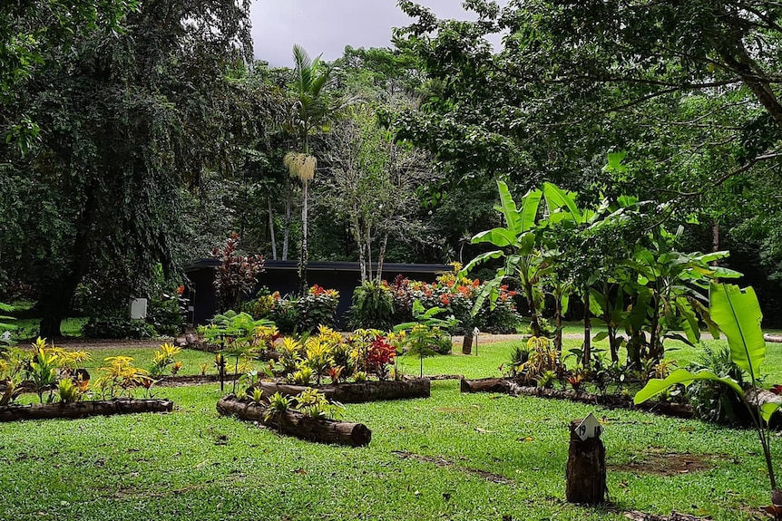 Green laws with tropical tress and garden beds.