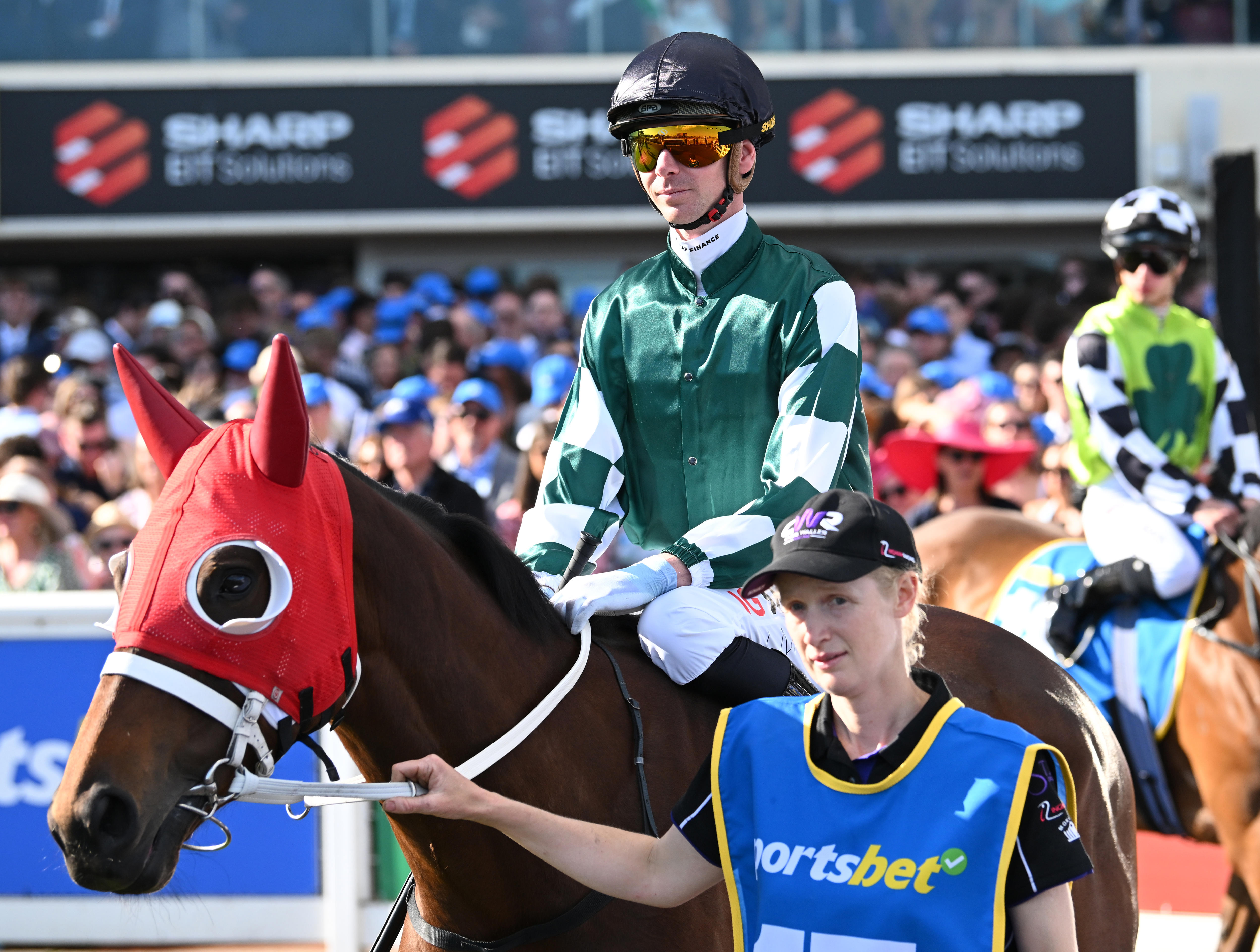 Animal welfare group calls for accountability after latest racing death