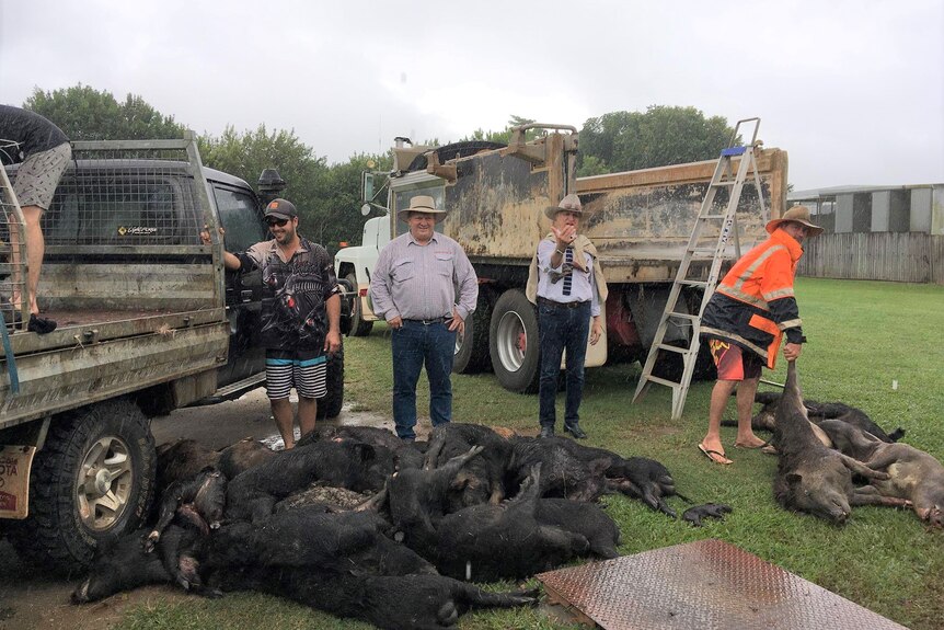 Shane Knuth and Bob Katter standing in front a pile of dead feral pigs 