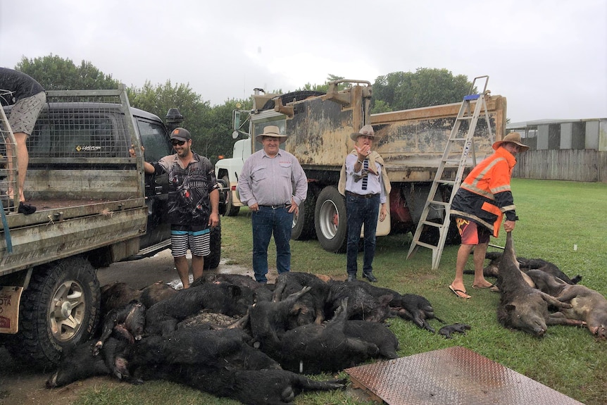 Shane Knuth and Bob Katter standing in front a pile of dead feral pigs 