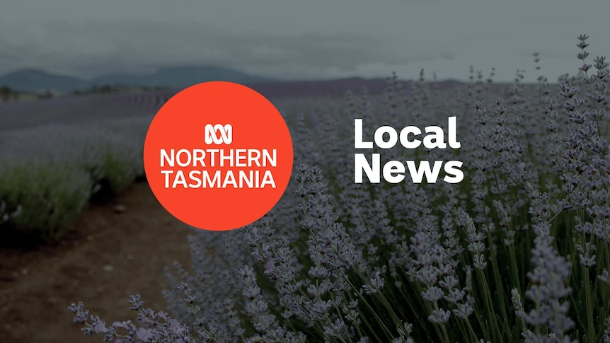 Field of lavender in bloom; ABC Northern Tasmania logo and Local News superimposed over the top.