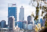 A city skyline with skyscrapers in the background and green gum tree blurred in the foreground.