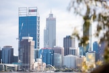 A city skyline with skyscrapers in the background and green gum tree blurred in the foreground.