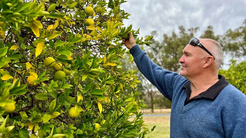 Jason Sayer says he's comfortable with his decision to leave the citrus industry