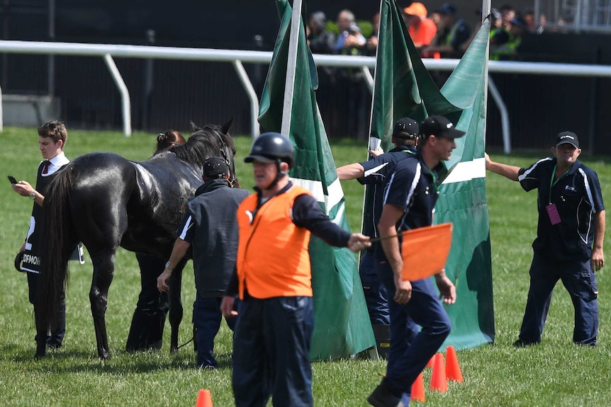 Track staff erect a screen around injured horse The Cliffsofmoher, in the 2018 Melbourne Cup.