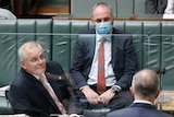 Scott Morrison and Barnaby Joyce look across to Anthony Albanese, who is speaking in the House of Represenatives