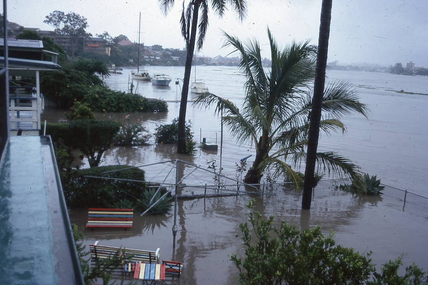 A flood backyard