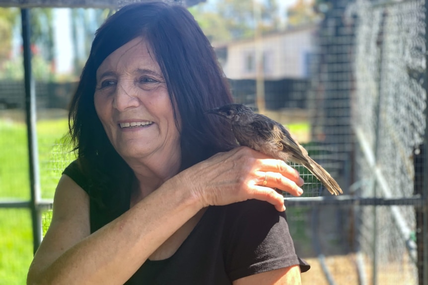 An older lady poses for a photograph with a magpie on her shoulder.