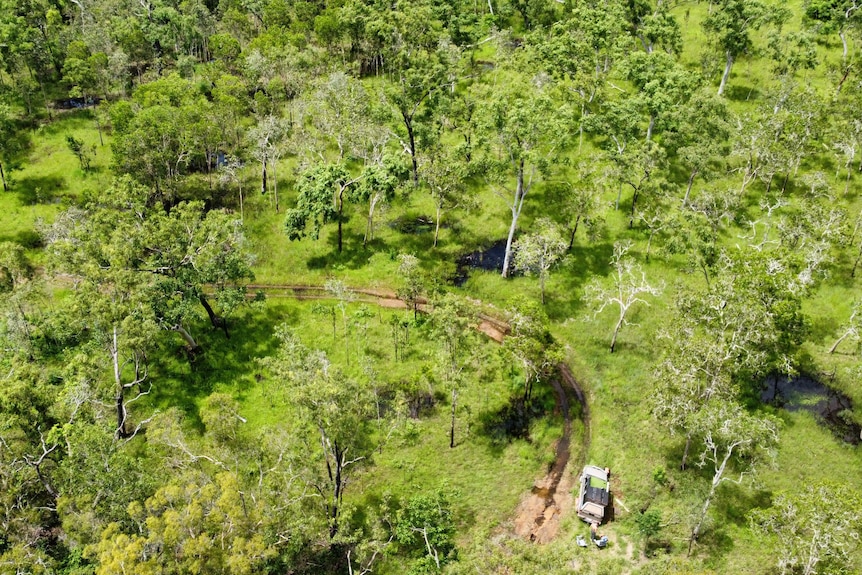 Aerial picture of very dense bush
