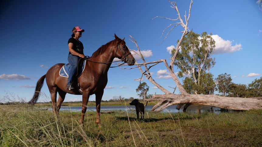 A grazier in Roma is sitting on her horse in a green paddock