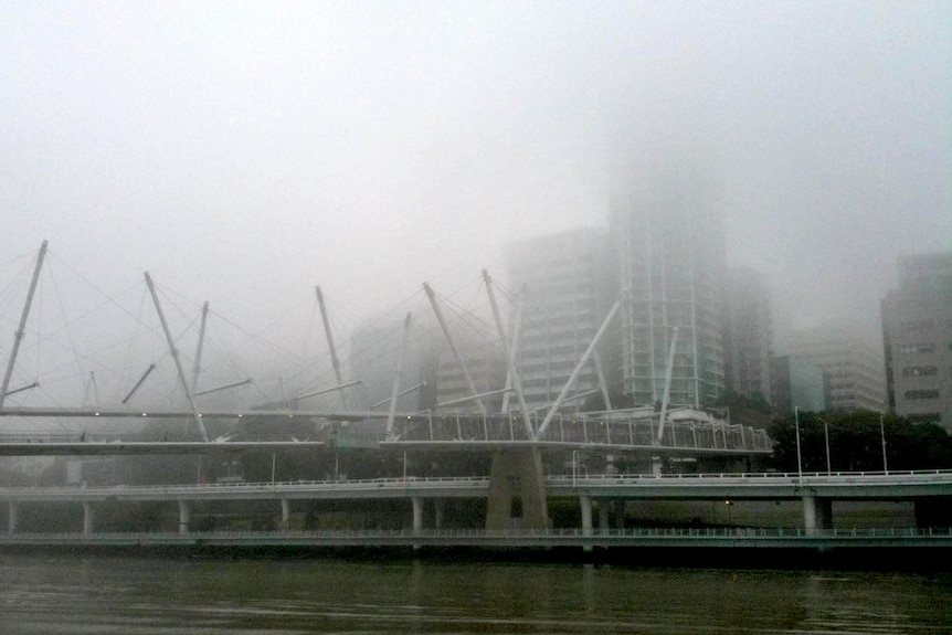 Fog shrouds the Kurilpa Bridge and Brisbane CBD.