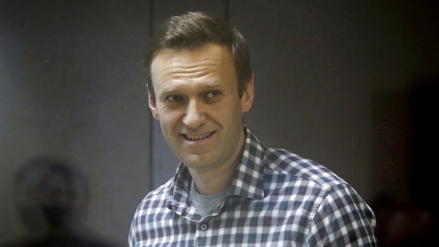 Russian opposition leader Alexei Navalny smiles in a Moscow courtroom during a hearing