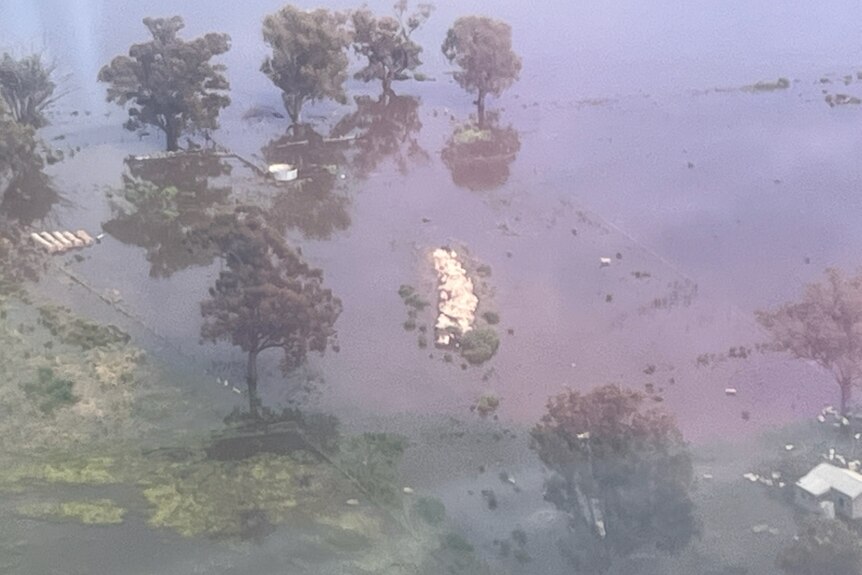 Aerial view of flooded land with a small patch of white in the middle