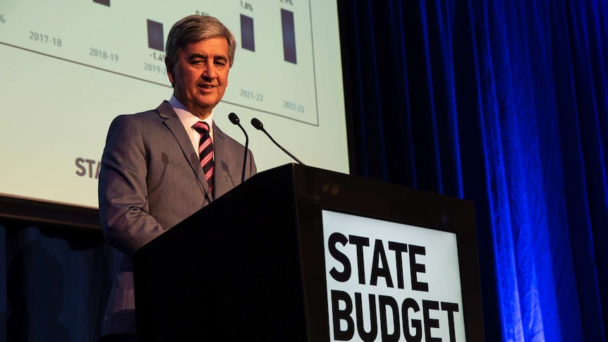 SA Treasurer Rob Lucas delivers the State Budget.