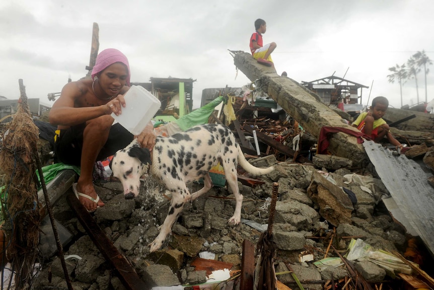 A man baths his pet dog among debris of destroyed houses in Tacloban, Philippines