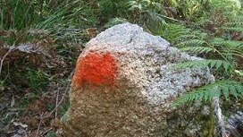 A rock marked in paint at Burra Oulla Wilderness area.