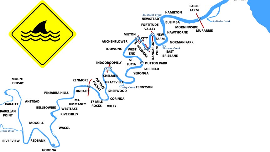 An illustration of the Brisbane River from the mouth up to Mount Crosby weir.