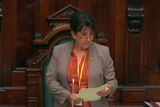 Frances Bedford in the role of deputy speaker during SA's Parliament