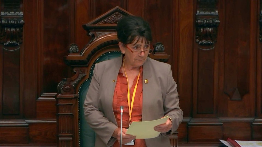 Frances Bedford in the role of deputy speaker during SA's Parliament