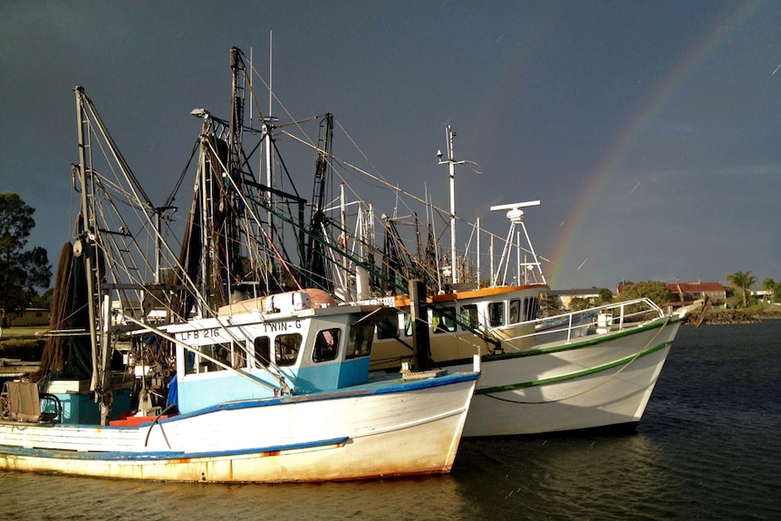 Prawn trawlers lined up at wharf with rainbow and dark clouds in background.