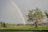 A rainbow arcs over a farm