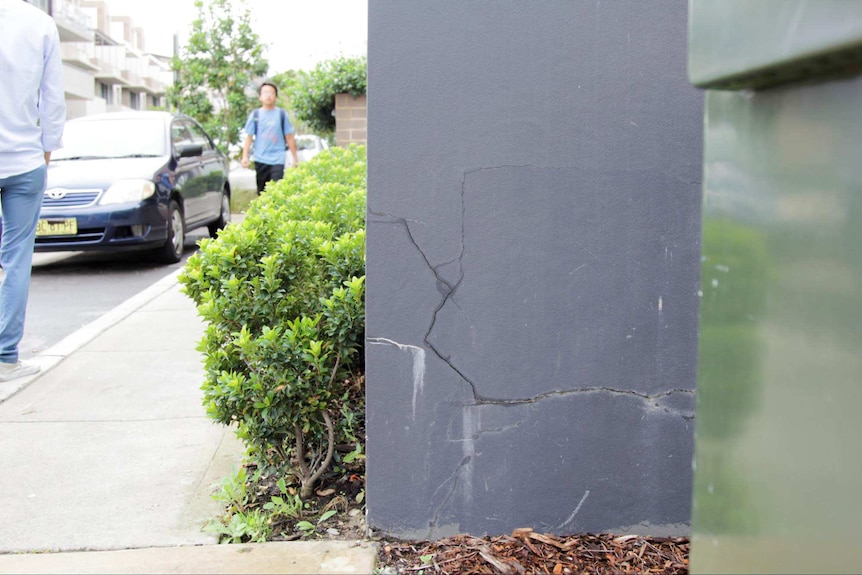 Cracks in the render at Centenary Park in the Sydney suburb of Homebush West.