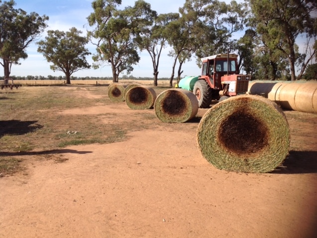 Round hay bales at the core with a tractor beside them.