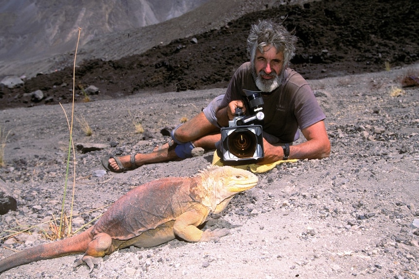David Parer with a land iguana in the warm sands of a volcano