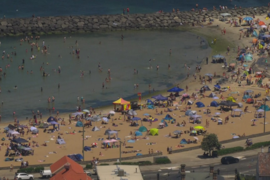 An aerial shot shows the sand and water crowded with people and sun shades.