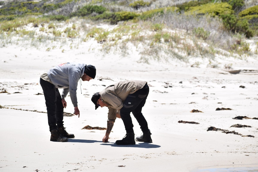 Two men in outdoor work clothing stand on beach looking at ground. One points, he wears beanie. Another wears a cap.