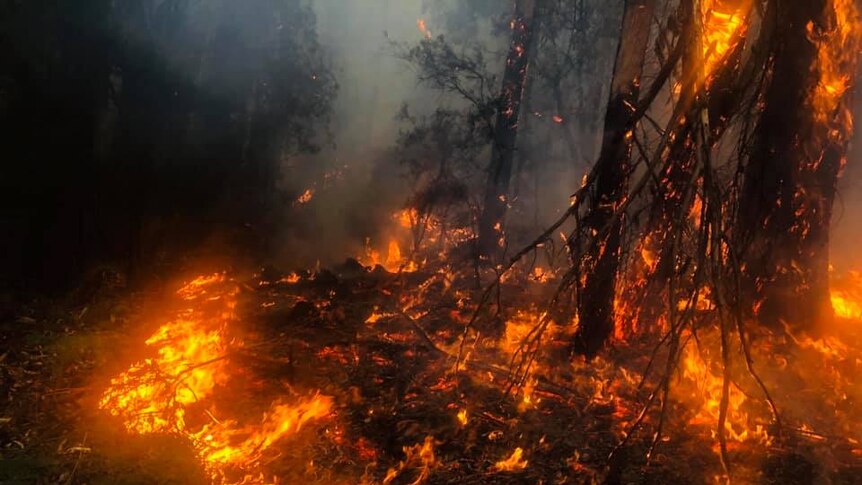 Bushfire in the Tasmanian landscape.