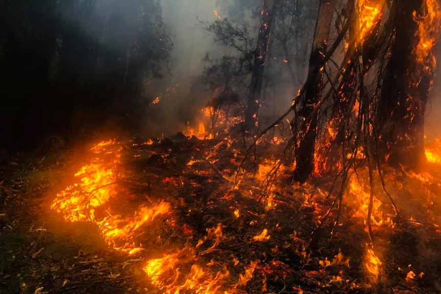 Bushfire in the Tasmanian landscape.