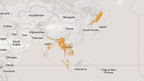 Map showing where tigers live in the wild