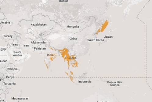 Map showing where tigers live in the wild