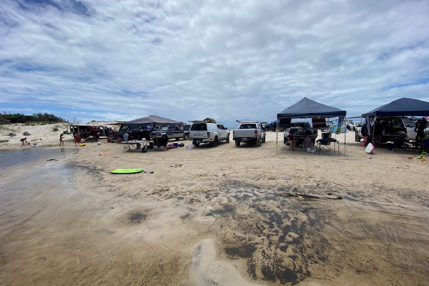 People swimming alongside parked 4WD vehicles and gazebos on the beach at Bribie Island.