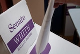 White Senate ballot box and paper
