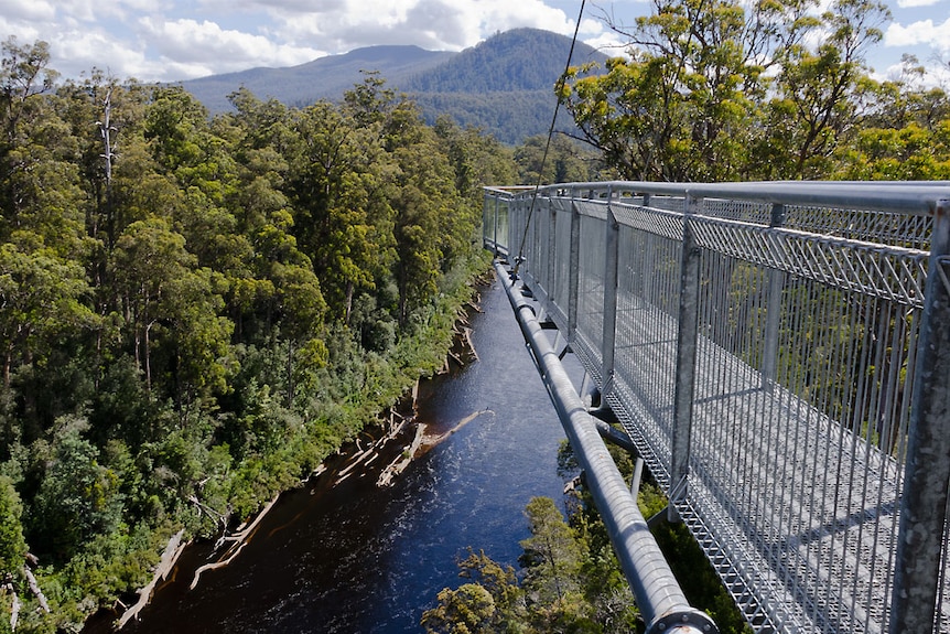 An elevated steel walkway against a backdrop of greenery and a river
