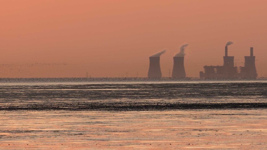 Sky is sunset orange, pink as a swarm of dots fly across the front of power station stacks with smoke steaming from their bowels