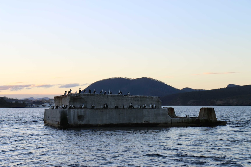 A group of birds on a cement structure that floats in water.