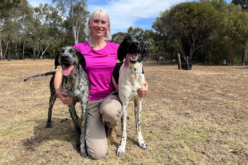 A woman kneels on one leg between two large dogs