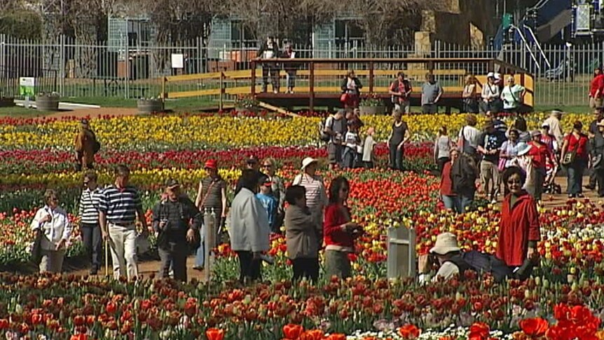 Floriade flower festival in Canberra