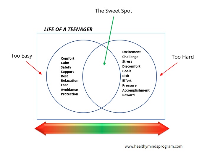 Venn diagram showing sweet spot of parenting teens between stress, risk and ease, support