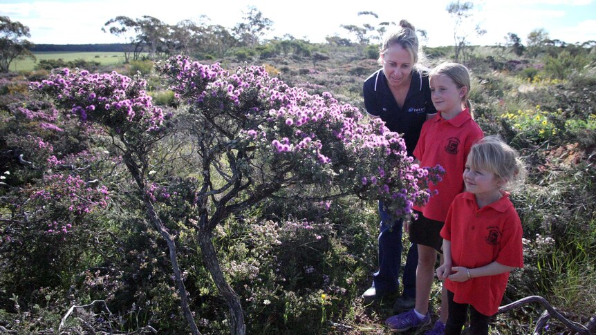A family inspects a flowering bush.