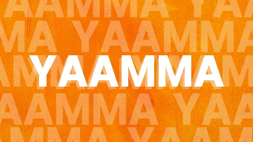 The word 'YAAMMA' is written in bold white text with an orange background. 