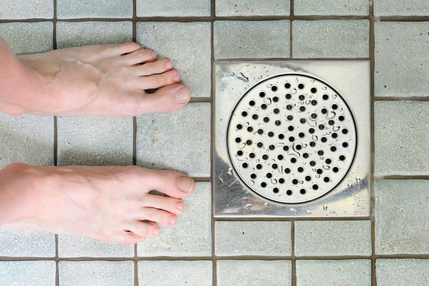 Two feet on wet shower, tiled, floor and drain.