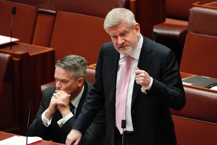 Communications Minister Mitch Fifield on his feet in the Senate while Mathias Cormann listens in the background
