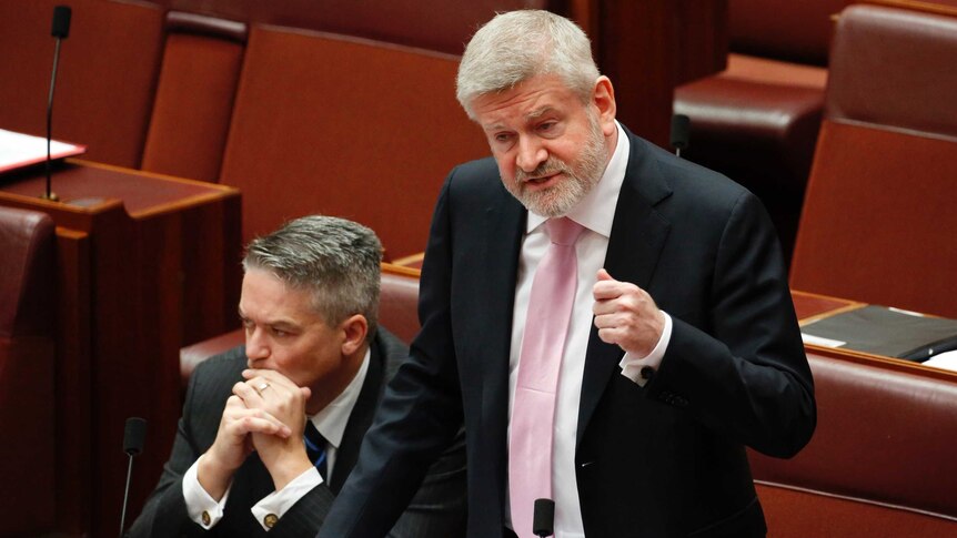 Communications Minister Mitch Fifield on his feet in the Senate while Mathias Cormann listens in the background