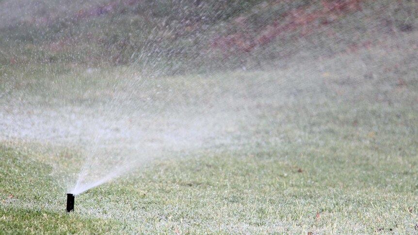 A sprinkler sprays water onto a garden.