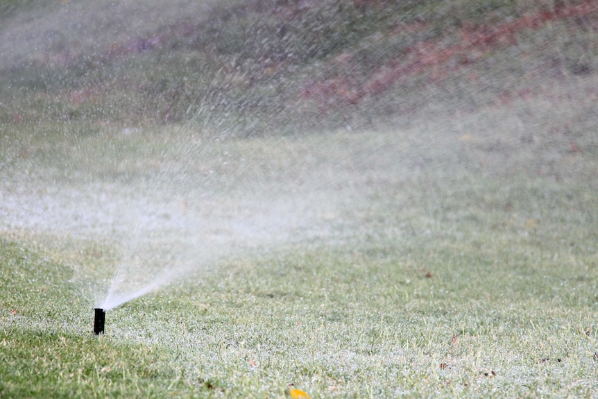 A sprinkler sprays water onto a garden.